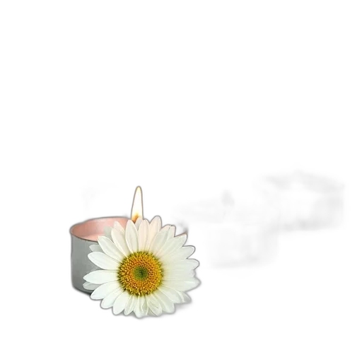 jewelry, flower, crown, staff, 3d render, photorealistic, pastel, monochrome transparent PNG cut-out