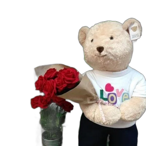 3d render, teddy, bear, wearing, shirt, says, love, holds transparent PNG cut-out
