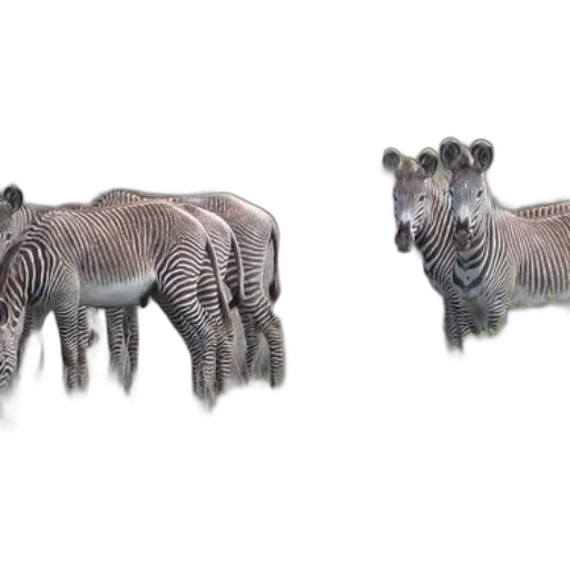 animal, creature, jewelry, dragon, 3d render, concept art, photorealistic, fantasy art transparent PNG cut-out