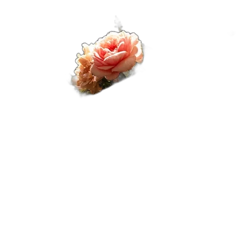 jewelry, food, crown, flower, 3d render, photorealistic, pixel art, concept art transparent PNG cut-out