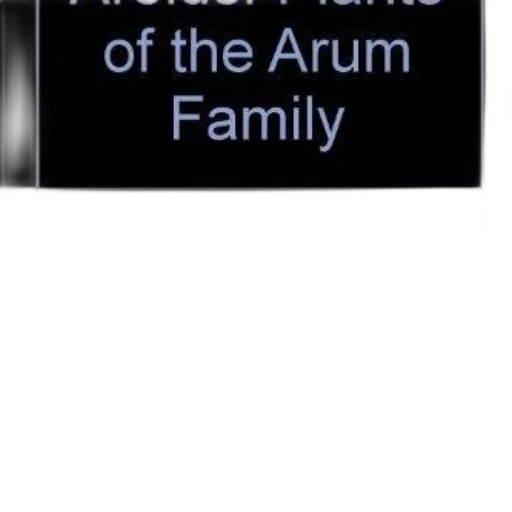 staff, furniture, weapon, cover, arum, family, deni, bown transparent PNG cut-out