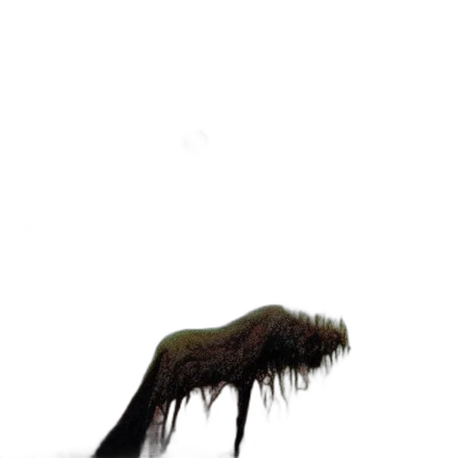 hair, creature, animal, dragon, concept art, photorealistic, 3d render, fantasy art transparent PNG cut-out