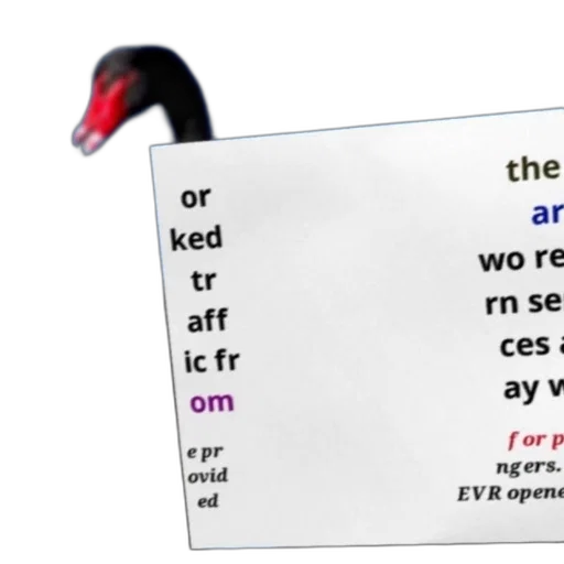black, swan, blue, background, text, overlaid, reads, ked transparent PNG cut-out