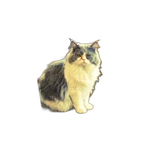 animal, staff, creature, crown, photorealistic, 3d render, pixel art, concept art transparent PNG cut-out