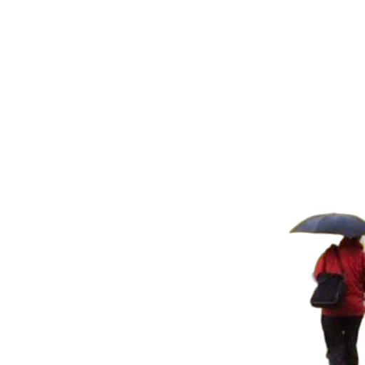 umbrella, jacket, hat, staff, 3d render, photorealistic, concept art, rain transparent PNG cut-out