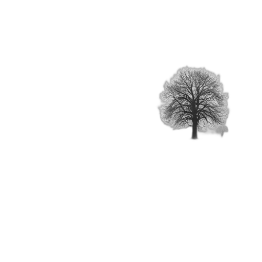 tree, crown, hat, umbrella, photorealistic, 3d render, pixel art, pencil sketch transparent PNG cut-out