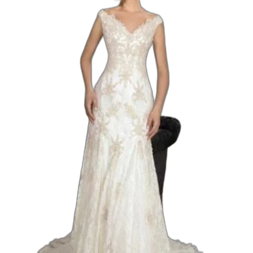 dress, woman, wearing, elegant, sleeveless, lace, wedding, v-neckline transparent PNG cut-out