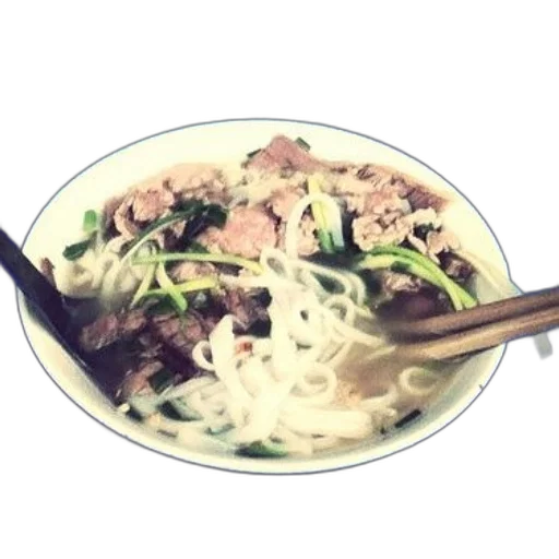 food, photorealistic, 3d render, oil painting, anime, bowl, pho, beef transparent PNG cut-out