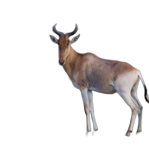 animal, creature, staff, crown, 3d render, concept art, photorealistic, majestic transparent PNG cut-out