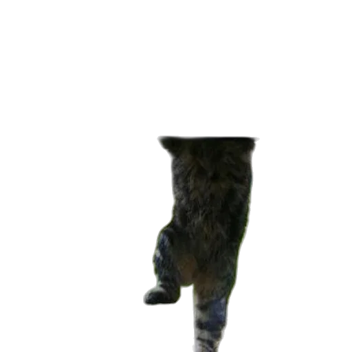 staff, animal, hat, creature, 3d render, photorealistic, concept art, pixel art transparent PNG cut-out