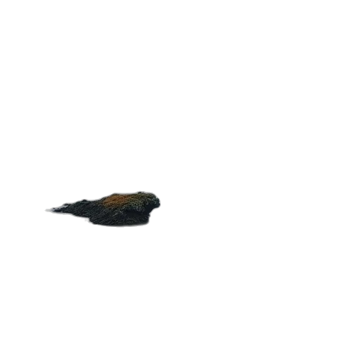 animal, hat, staff, weapon, pixel art, 3d render, photorealistic, concept art transparent PNG cut-out