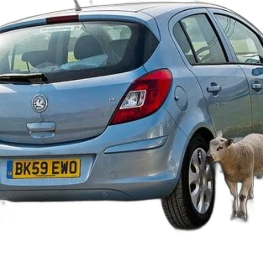 car, animal, light, blue, license, plate, bk59, ewo transparent PNG cut-out