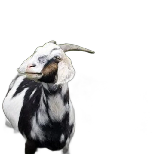 animal, creature, hair, mask, photorealistic, concept art, 3d render, pixel art transparent PNG cut-out