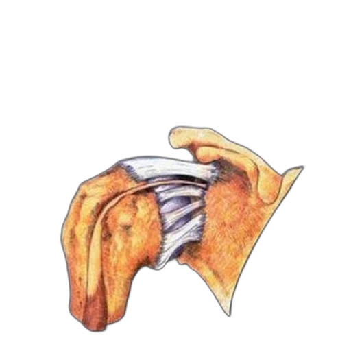 mask, jacket, jewelry, weapon, watercolor, concept art, photorealistic, 3d render transparent PNG cut-out