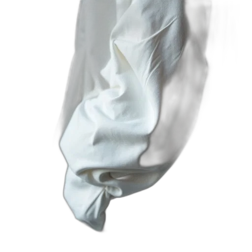 jacket, dress, mask, staff, photorealistic, 3d render, monochrome, close-up transparent PNG cut-out