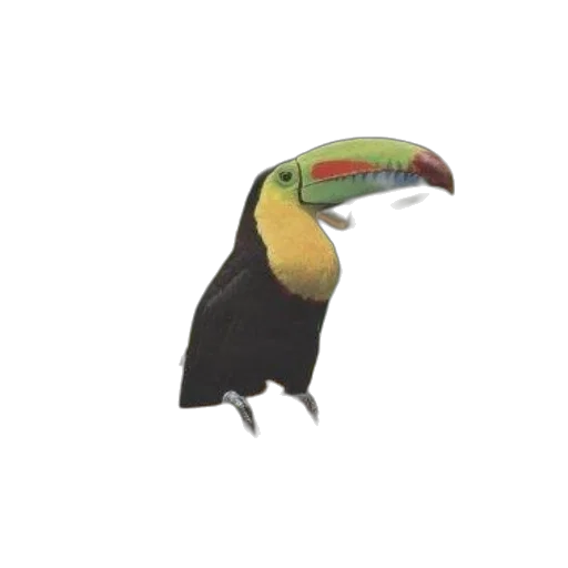 animal, creature, hat, staff, 3d render, concept art, photorealistic, pixel art transparent PNG cut-out