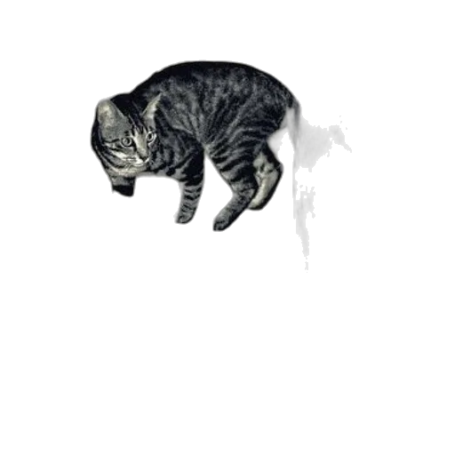 animal, creature, staff, hat, pixel art, concept art, photorealistic, pencil sketch transparent PNG cut-out