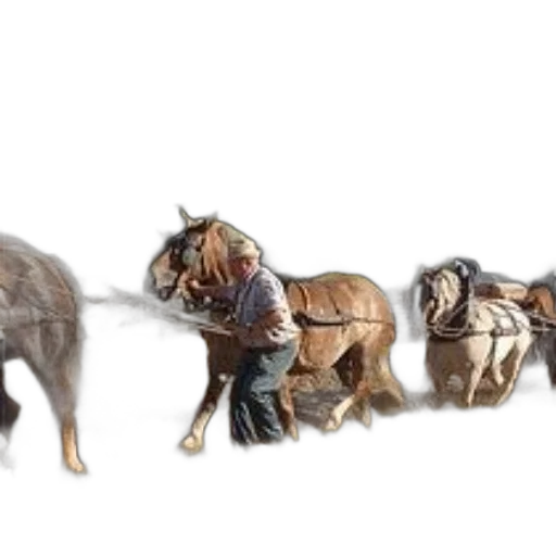 animal, concept art, photorealistic, fantasy art, farmer, field, three, horses transparent PNG cut-out