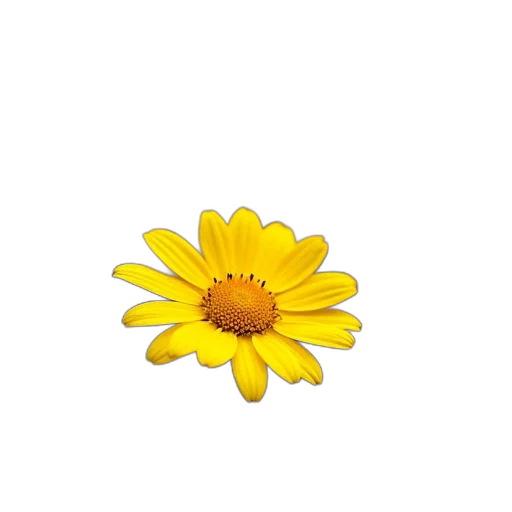 flower, crown, jewelry, weapon, 3d render, photorealistic, pixel art, oil painting transparent PNG cut-out