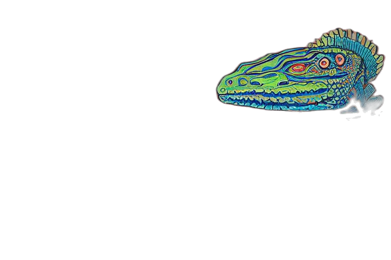 dragon, hat, animal, creature transparent PNG cut-out