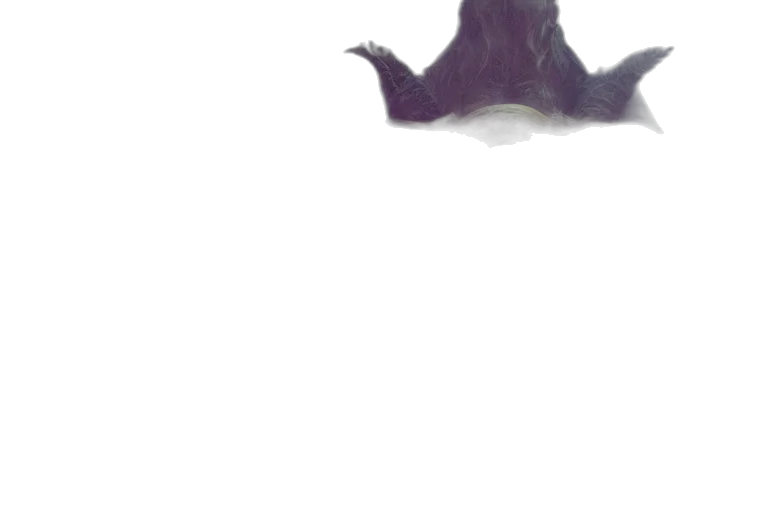 creature, dragon, animal, hair transparent PNG cut-out