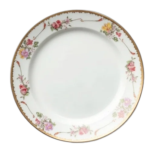 food, jewelry, white, porcelain, plate, floral, pattern, around transparent PNG cut-out