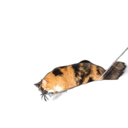animal, staff, creature, weapon, photorealistic, 3d render, concept art, watercolor transparent PNG cut-out