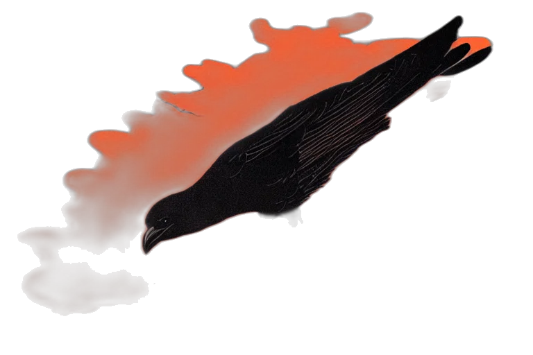 dragon, hair, weapon, sword transparent PNG cut-out