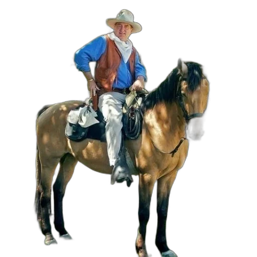 animal, staff, hat, jacket transparent PNG cut-out