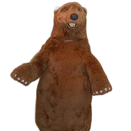 animal, creature, staff, jacket, 3d render, person, bear, costume transparent PNG cut-out