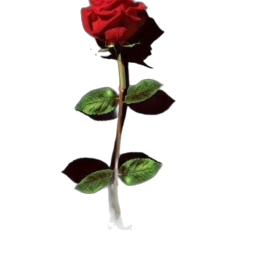 flower, staff, crown, weapon, 3d render, photorealistic, concept art, pixel art transparent PNG cut-out