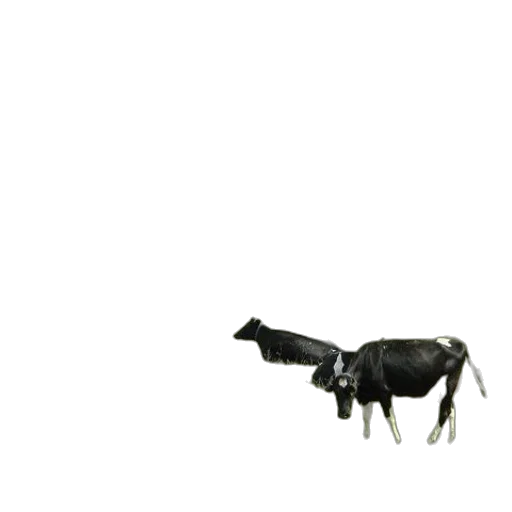 animal, robot, weapon, furniture, 3d render, concept art, photorealistic, pixel art transparent PNG cut-out
