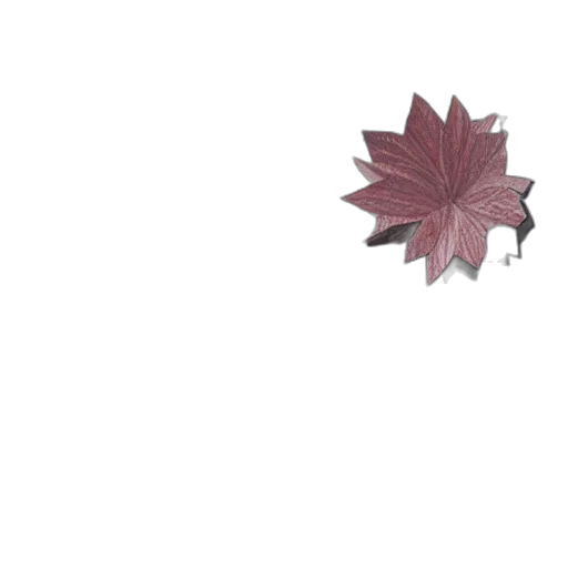 flower, umbrella, crown, tree transparent PNG cut-out