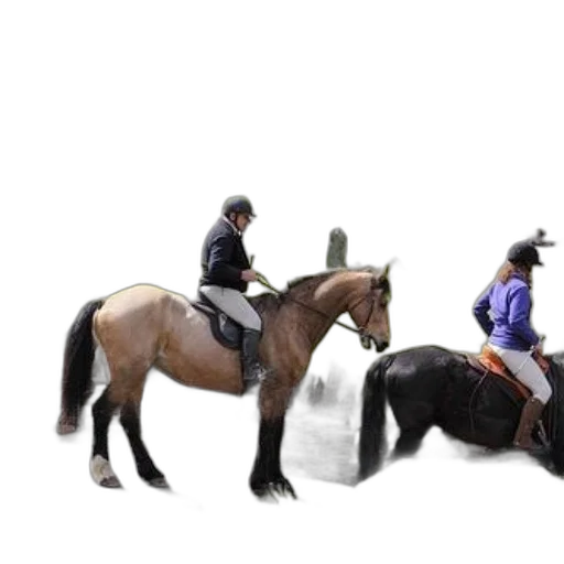 staff, animal, photorealistic, concept art transparent PNG cut-out