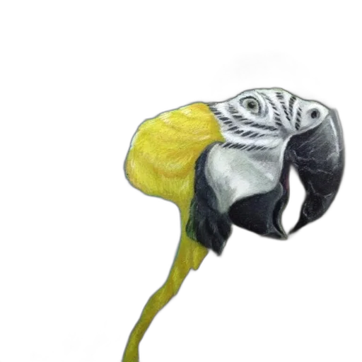 hat, flower, mask, hair, photorealistic, watercolor, concept art, 3d render transparent PNG cut-out