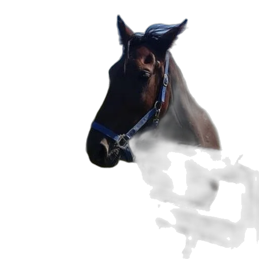 animal, staff, face, hat, photorealistic, concept art, 3d render, fantasy art transparent PNG cut-out