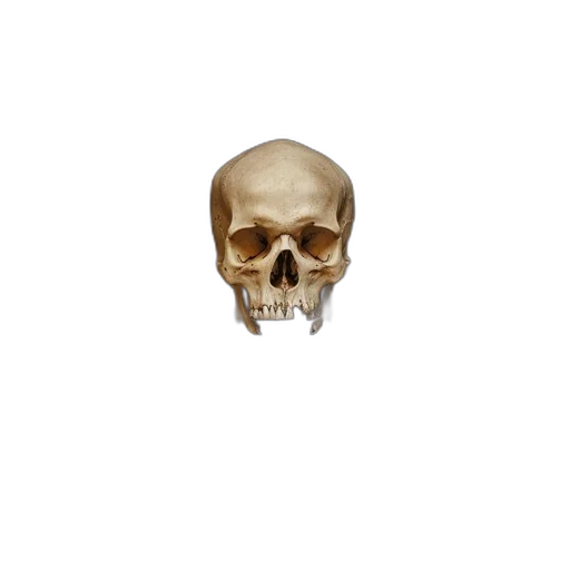 face, mask, jewelry, crown, 3d render, pixel art, photorealistic, concept art transparent PNG cut-out