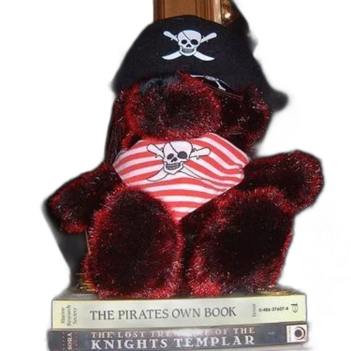 hat, crown, staff, jacket, teddy, bear, wearing, pirate transparent PNG cut-out