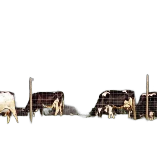 animal, concept art, pixel art, photorealistic transparent PNG cut-out