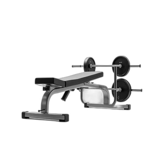 modern, gym, bench, flat, cushioned, seat, backrest, featuring transparent PNG cut-out