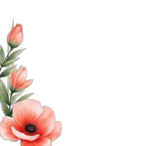 flower, dress, crown, hat transparent PNG cut-out
