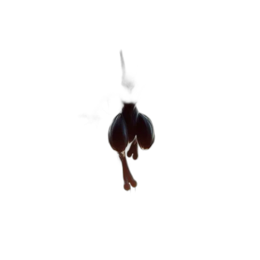 jewelry, hair, staff, food, 3d render, concept art, photorealistic, pixel art transparent PNG cut-out