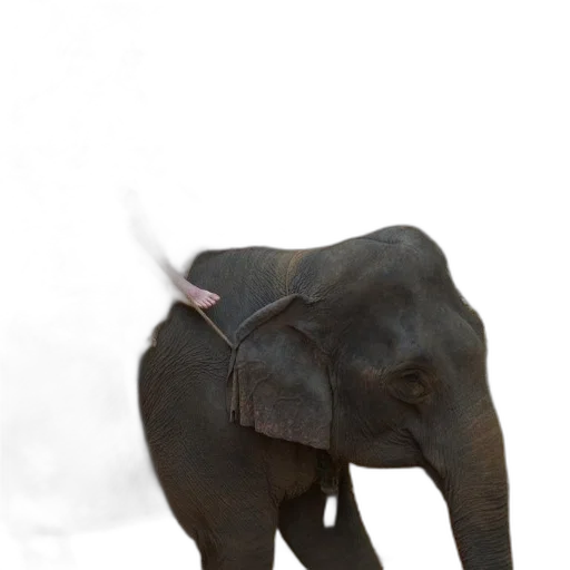 animal, staff, creature, hat, photorealistic, 3d render, concept art, oil painting transparent PNG cut-out