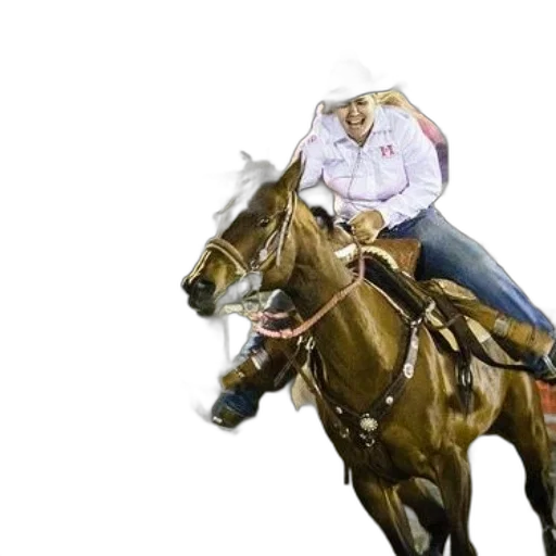 hat, animal, photorealistic, woman, riding, horse, around, barrel transparent PNG cut-out