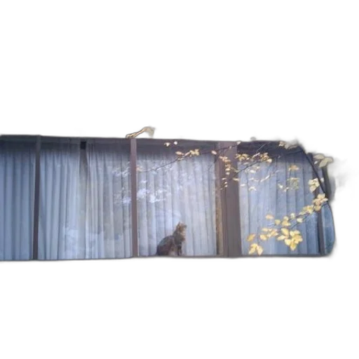 staff, umbrella, animal, dress, forest, rain, outer space, underwater transparent PNG cut-out