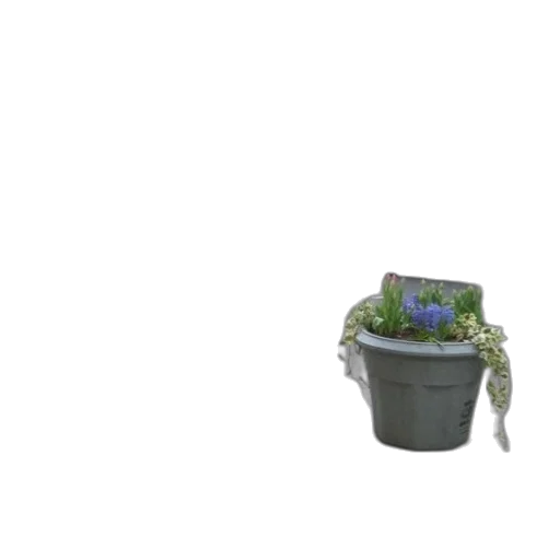 flower, robot, hat, crown, 3d render, photorealistic, concept art, pixel art transparent PNG cut-out