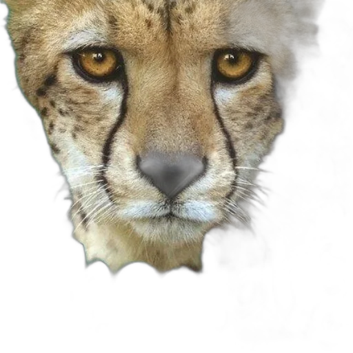 animal, crown, mask, face, photorealistic, 3d render, fantasy art, oil painting transparent PNG cut-out