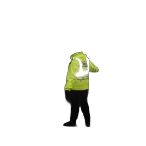 jacket, staff, creature, hat, 3d render, concept art, pixel art, green transparent PNG cut-out