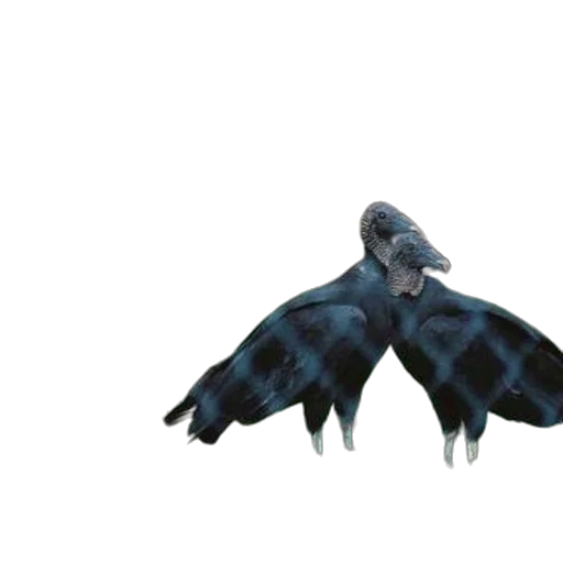 umbrella, creature, animal, dragon, concept art, 3d render, watercolor, fantasy art transparent PNG cut-out