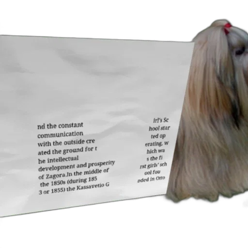 hair, mask, creature, animal, image, contains, text, discussing transparent PNG cut-out